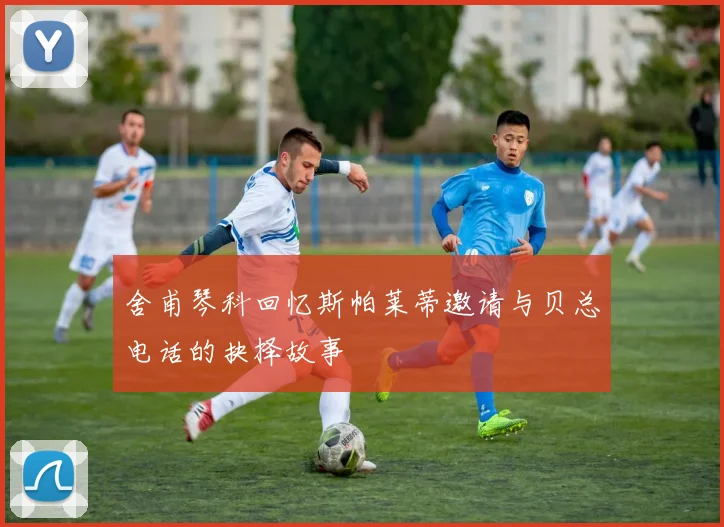 舍甫琴科回忆斯帕莱蒂邀请与贝总电话的抉择故事